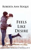 Feels Like Desire (Feels Like Romance, #5) (eBook, ePUB)