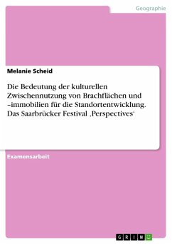 Die Bedeutung der kulturellen Zwischennutzung von Brachflächen und -immobilien für die Standortentwicklung. Das Saarbrücker Festival ,Perspectives' (eBook, ePUB)