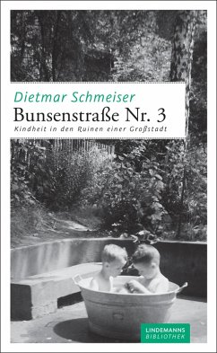 Bunsenstraße Nr. 3 (eBook, ePUB) - Schmeiser, Dietmar