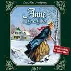 Anne auf Green Gables, Box 2: Folge 5-8 (MP3-Download)