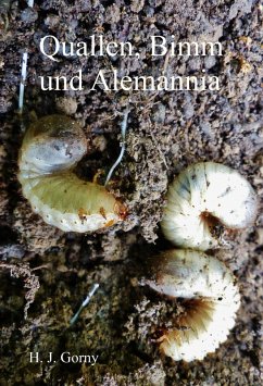 Quallen, Bimm und Alemannia (eBook, ePUB) - Gorny, Ha-Jo