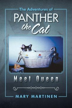 The Adventures of Panther the Cat
