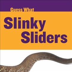 Slinky Sliders - Calhoun, Kelly