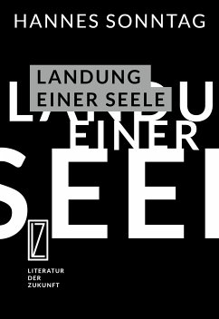 Landung einer Seele (eBook, ePUB) - Sonntag, Hannes