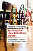 Spannungsfeld »Gesellschaftliche Vielfalt« (eBook, PDF)