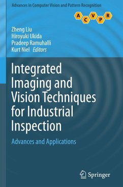 Integrated Imaging and Vision Techniques for Industrial Inspection