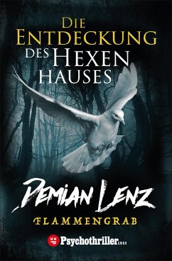 Die Entdeckung des Hexenhauses (eBook, ePUB) - Lenz, Demian