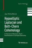 Hypoelliptic Laplacian and Bott¿Chern Cohomology