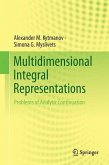 Multidimensional Integral Representations