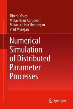 Numerical Simulation of Distributed Parameter Processes - Colosi, Tiberiu;Abrudean, Mihail-Ioan;Unguresan, Mihaela-Ligia