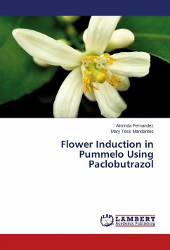 Flower Induction in Pummelo Using Paclobutrazol