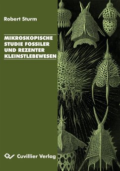 Mikroskopische Studie fossiler und rezenter Kleinstlebewesen - Sturm, Robert