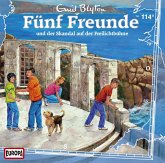 Fünf Freunde und der Skandal auf der Freilichtbühne / Fünf Freunde Bd.114 (1 Audio-CD)