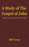 A Study of the Gospel of John (eBook, ePUB)