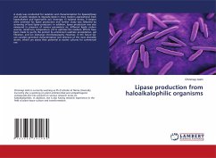 Lipase production from haloalkalophilic organisms