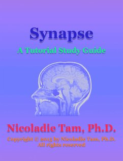 Synapse: A Tutorial Study Guide (eBook, ePUB) - Tam, Nicoladie