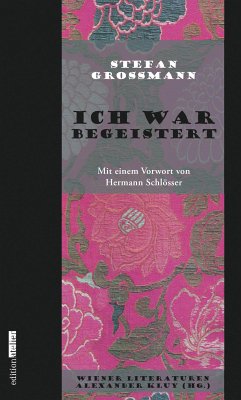 Ich war begeistert (eBook, ePUB) - Großmann, Stefan