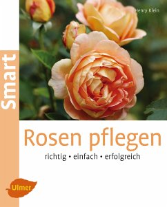Rosen pflegen (eBook, PDF) - Klein, Henry