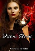 Destino Eterno (eBook, ePUB)