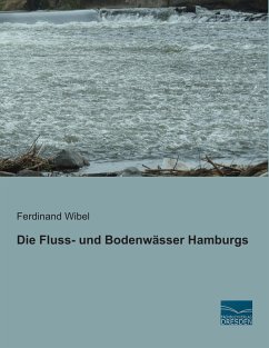 Die Fluss- und Bodenwässer Hamburgs - Wibel, Ferdinand