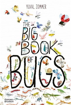 Big Book of Bugs - Zommer, Yuval
