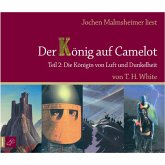 Die Königin von Luft und Dunkelheit (MP3-Download)