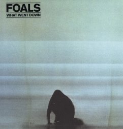 What Went Down - Foals