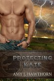Protecting Kate (Dark Horse Inc., #1) (eBook, ePUB)