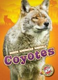 Coyotes