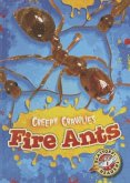 Fire Ants