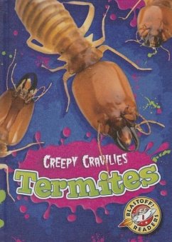 Termites - Schuetz, Kari