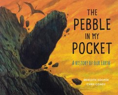 The Pebble in My Pocket - Hooper, Meredith
