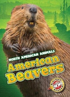 American Beavers - Borgert-Spaniol, Megan