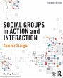 Social Groups in Action and Interaction - Bild 1