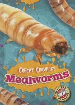 Mealworms - Schuetz, Kari
