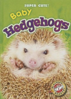 Baby Hedgehogs - Borgert-Spaniol, Megan