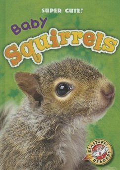 Baby Squirrels - Borgert-Spaniol, Megan
