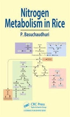 Nitrogen Metabolism in Rice - Basuchaudhuri, Pranab Nitrogen Metabolism in Rice - Basuchaudhuri, Pranab