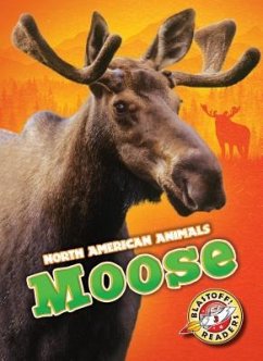 Moose - Borgert-Spaniol, Megan