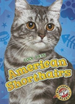 American Shorthairs - Leaf, Christina