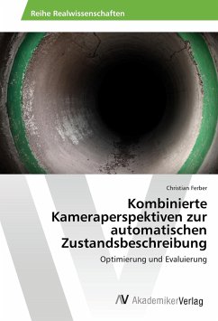 Kombinierte Kameraperspektiven zur automatischen Zustandsbeschreibung