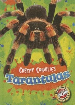 Tarantulas - Schuetz, Kari