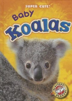 Baby Koalas - Borgert-Spaniol, Megan