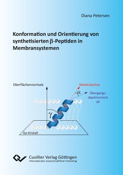 Cover Konformation und Orientierung von synthetisierten ß-Peptiden in Membransystemen