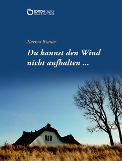 Du kannst den Wind nicht aufhalten ... (eBook, ePUB) - Brauer, Karina