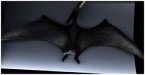 Bullyland 61364 - Pteranodon, Museum Line