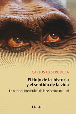 El flujo de la historia y el sentido de la vida (eBook, ePUB) - Castrodeza Ruíz de la Cuesta, Carlos