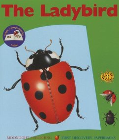 The Ladybird - Peyrols, Sylvaine