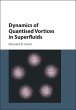 Dynamics of Quantised Vortices in... - Bild 1