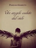 Un Angelo Caduto dal Cielo (eBook, PDF)